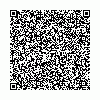 vCard 78041008599