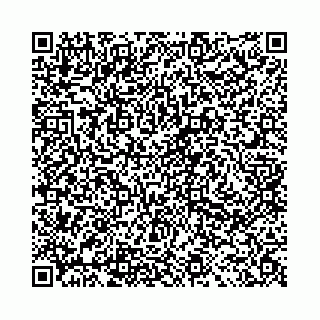 vCard 78041008656