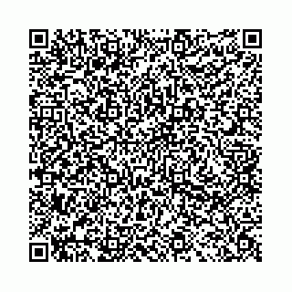 vCard 78041008680