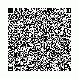 vCard 78041008697