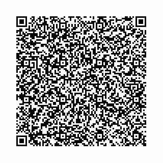 vCard 78041008705