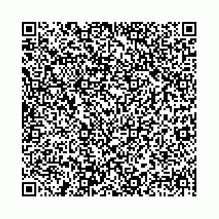 vCard 78041008733