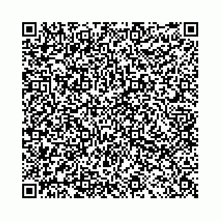 vCard 78041008740
