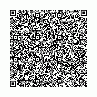 vCard 78041008741