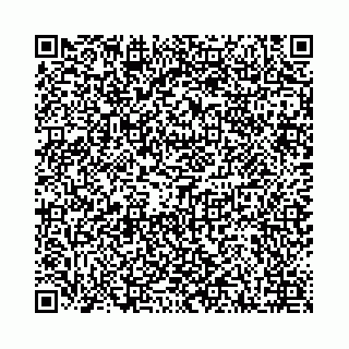 vCard 78041008745
