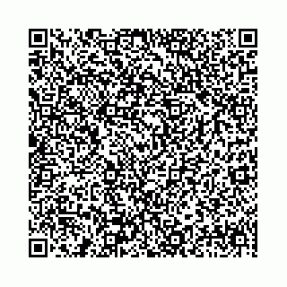 vCard 78041008752