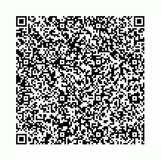 vCard 78041008773