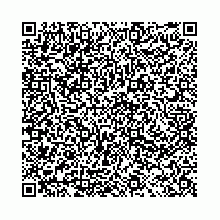 vCard 78041008774