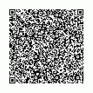 vCard 78041008780
