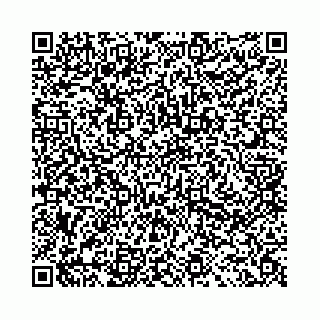 vCard 78041009652