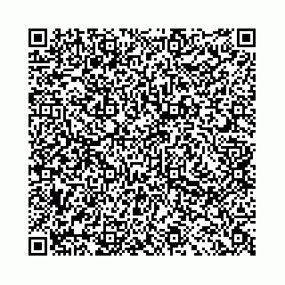 vCard 78041009687