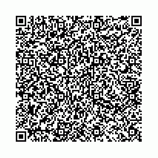 vCard 78041009701