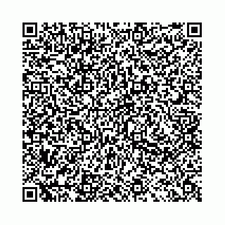 vCard 78041009705