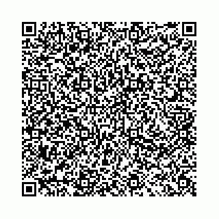 vCard 78041009727