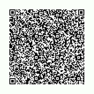 vCard 78041009728