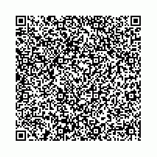 vCard 78041009733