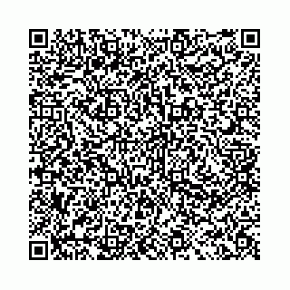 vCard 78041009735