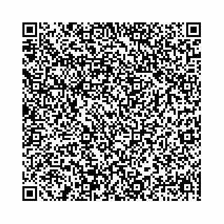 vCard 78041009741