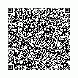 vCard 78041009747
