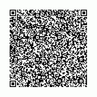 vCard 78041009750