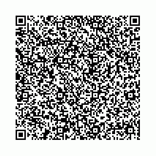 vCard 78041009752