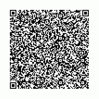 vCard 78041009753