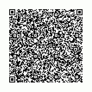 vCard 78041009771