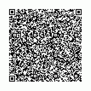vCard 78041009775
