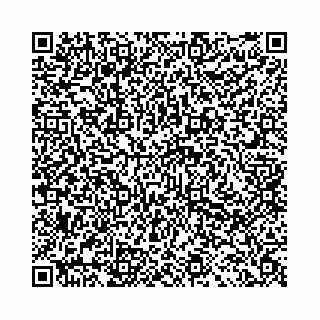 vCard 78041009780