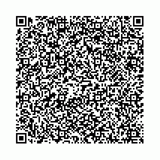 vCard 78041009782