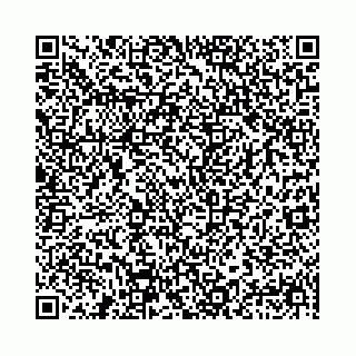 vCard 78041009799