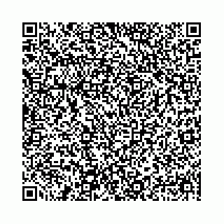 vCard 78041009802