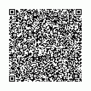 vCard 78041009803