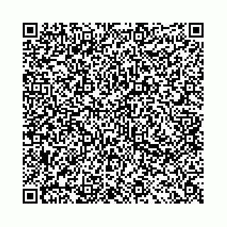 vCard 78041009809