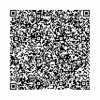 vCard 78041009840