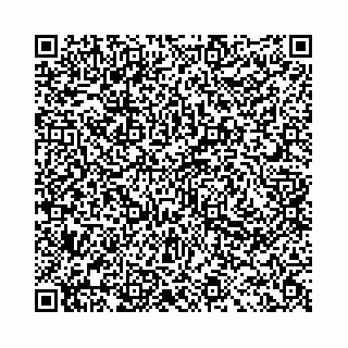 vCard 78041009872