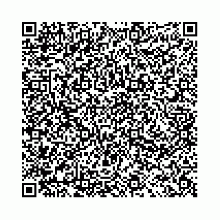 vCard 78041009879