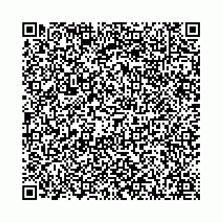 vCard 78041009883