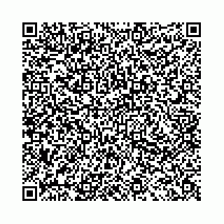 vCard 78041009891
