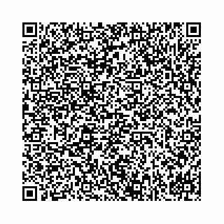 vCard 78041009899