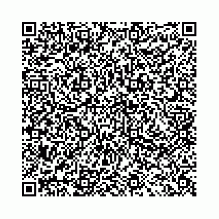 vCard 78041009901