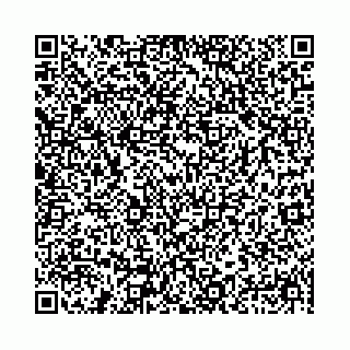vCard 78041009902
