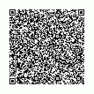 vCard 78041009906