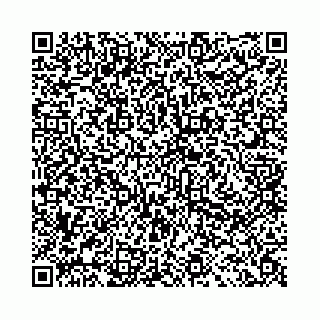 vCard 78041009907