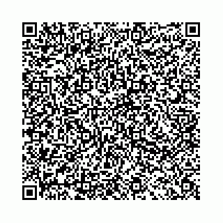 vCard 78041009908