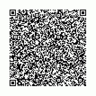 vCard 78041009909