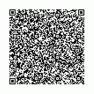 vCard 78041009929