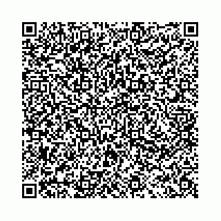 vCard 78041009933