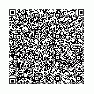 vCard 78041009934
