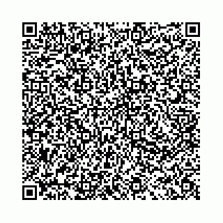 vCard 78041009935